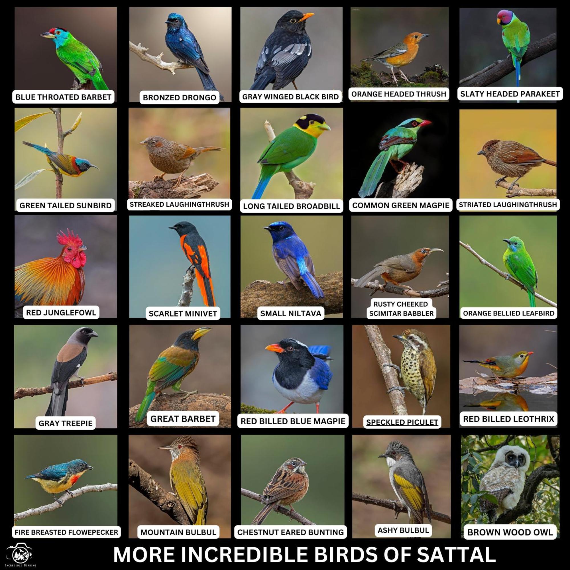 דירות Bhīm Tāl Incredible Birding Camp מראה חיצוני תמונה