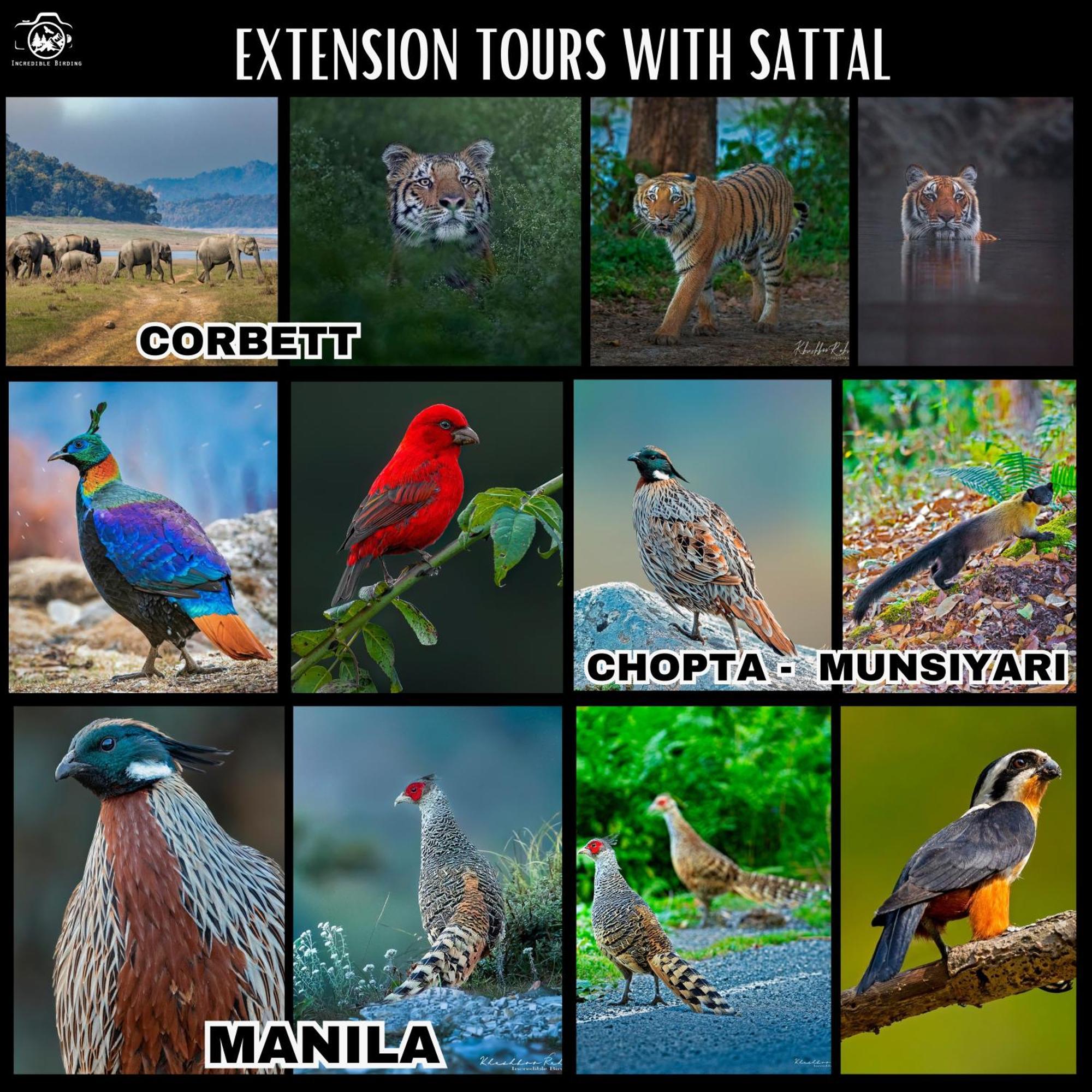 דירות Bhīm Tāl Incredible Birding Camp מראה חיצוני תמונה