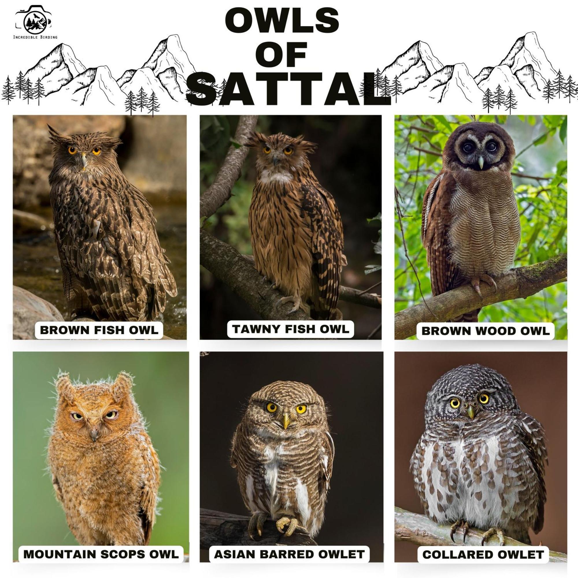 דירות Bhīm Tāl Incredible Birding Camp מראה חיצוני תמונה